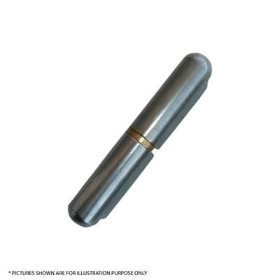 Hinge Steel Bullet Brass Washer 13mm X 80mm Door Trailer Tailgate Toolbox