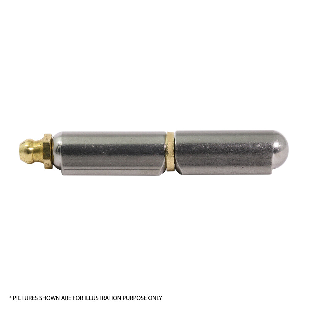Hinge Steel Bullet Greasable Brass Pin & Washer Door Trailer
